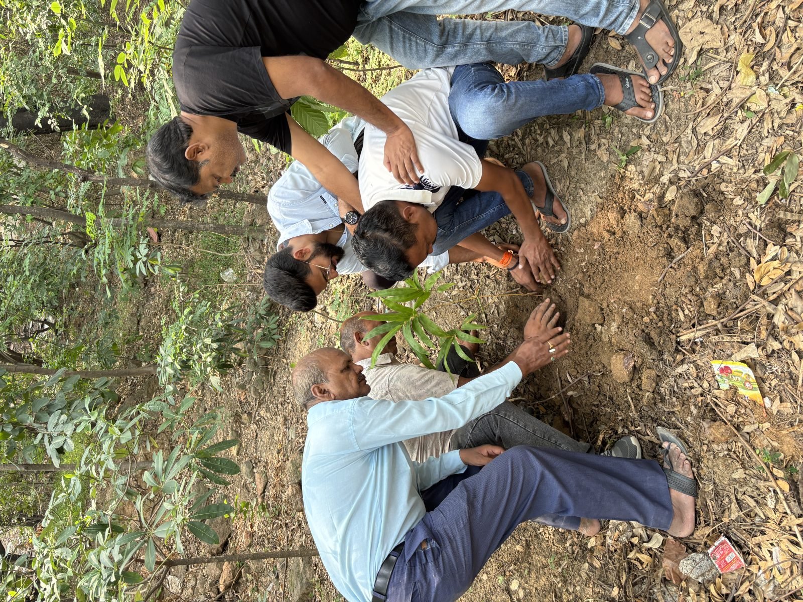 Statewide Plantation Drives #58